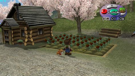 The role of music in Harvest Moon Magical Melody on GameCube